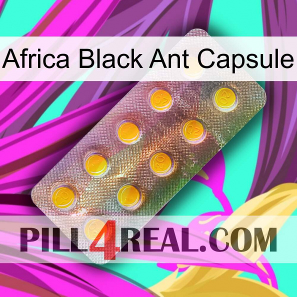 Africa Black Ant Capsule new11.jpg